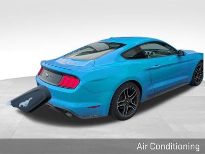 2022 Ford Mustang EcoBoost