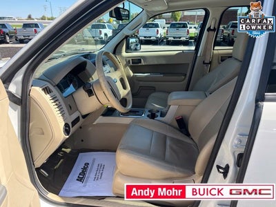 2010 Ford Escape XLT