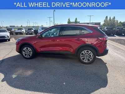 2022 Ford Escape SEL