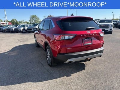 2022 Ford Escape SEL