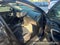 2017 Buick Regal Sport Touring