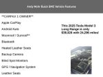 2025 Tesla Model 3 Long Range
