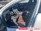2022 Volvo S60 Recharge Plug-In Hybr Inscription