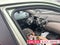 2010 Hyundai Tucson GLS