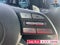 2025 Hyundai Palisade SEL Premium 8P