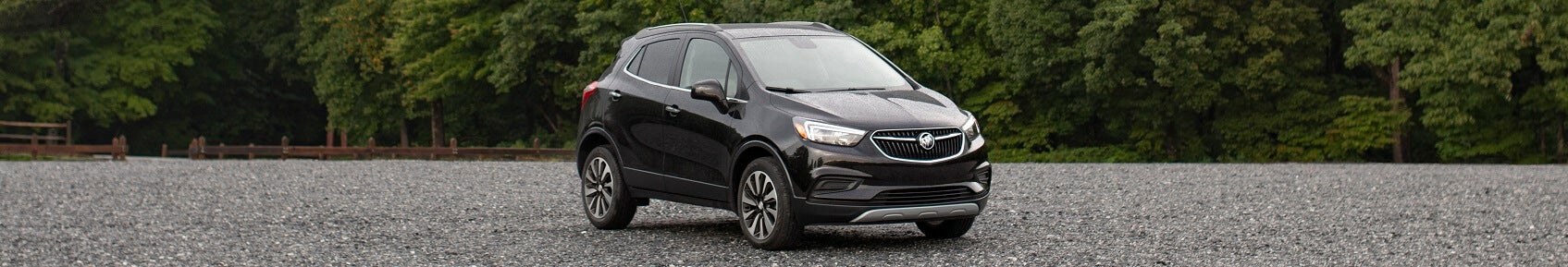 Electric vs. Gas-Powered